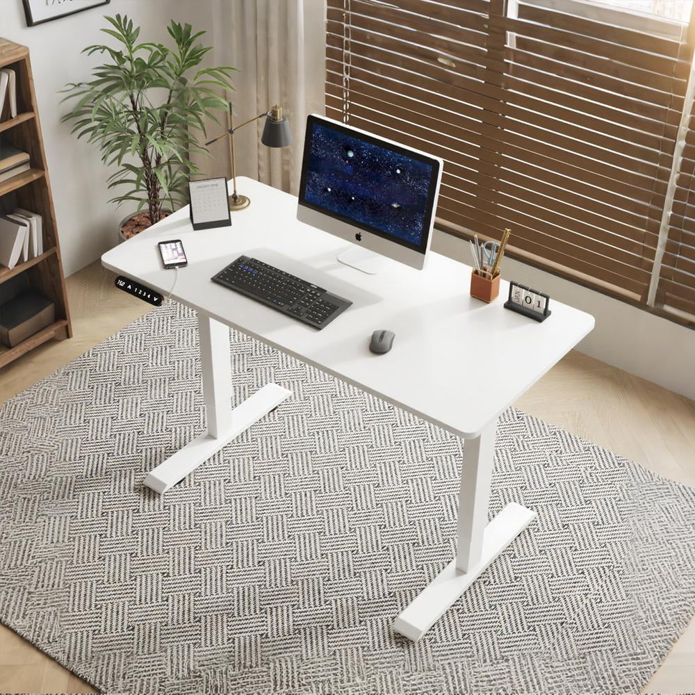 Electric Standing Desk 48x24 Inch, Height Adjustable Desk, Sit Stand Computer Desk for Office with Reinforced Dual Beam Steel Frame, 4 Memory Presets, Anti-Collision, Home Office Workstation, Oak
