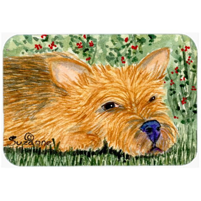 Carolines Treasures SS8862LCB Norwich Terrier Glass Cutting Board Large, 12H x 16W, multicolor