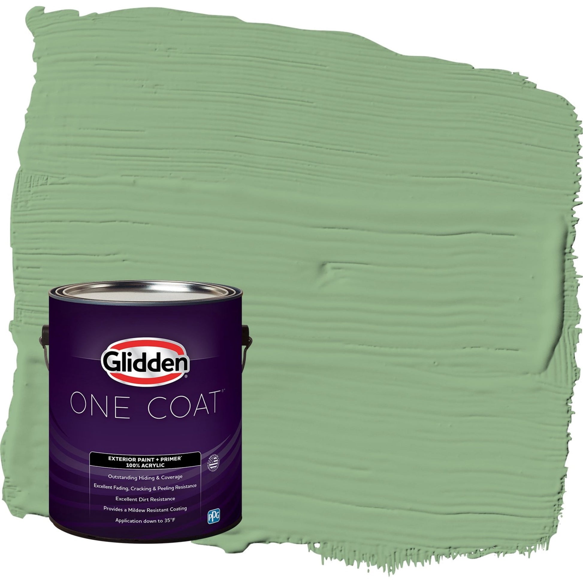 Glidden One Coat Pear Cactus / Green Satin Exterior Paint with Primer, 1 Gallon