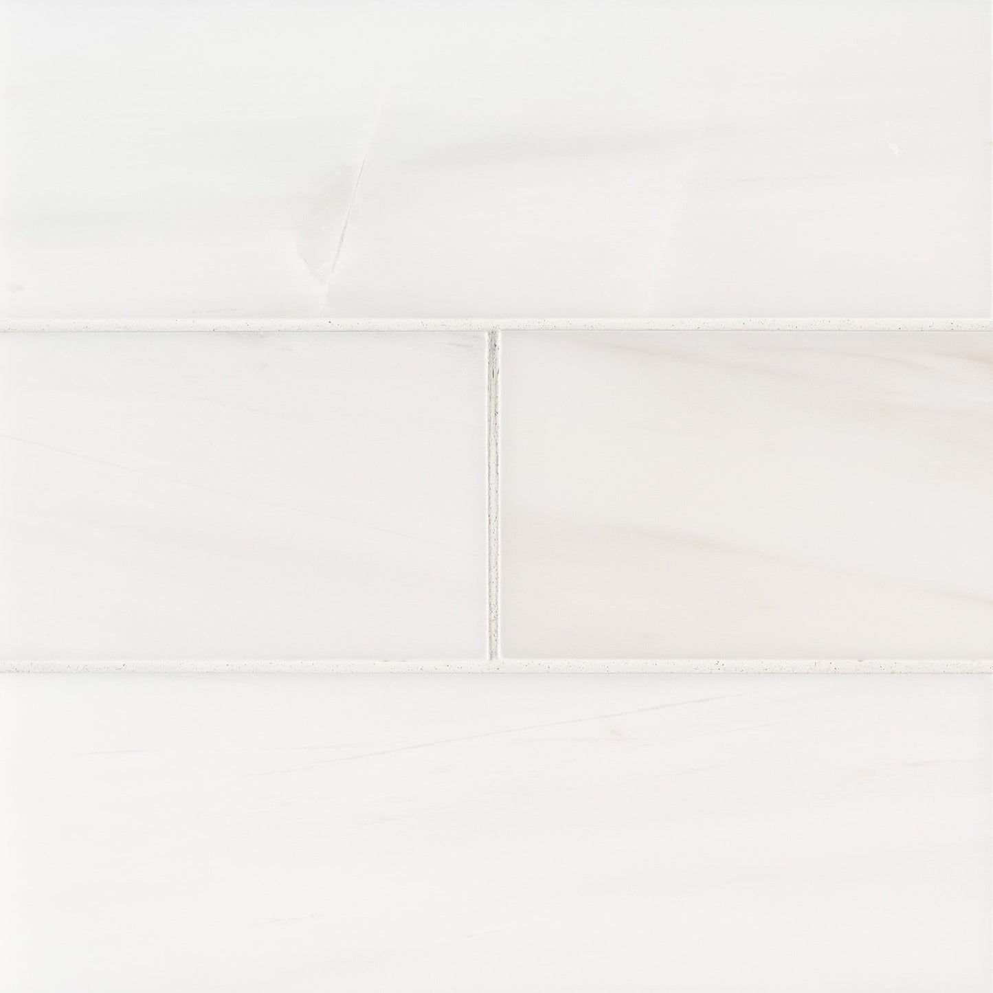 MSI Bianco Dolomite 4 in. x 12 in. Polished Floor and Wall Marble Tile (4.95 sq. ft./Case)