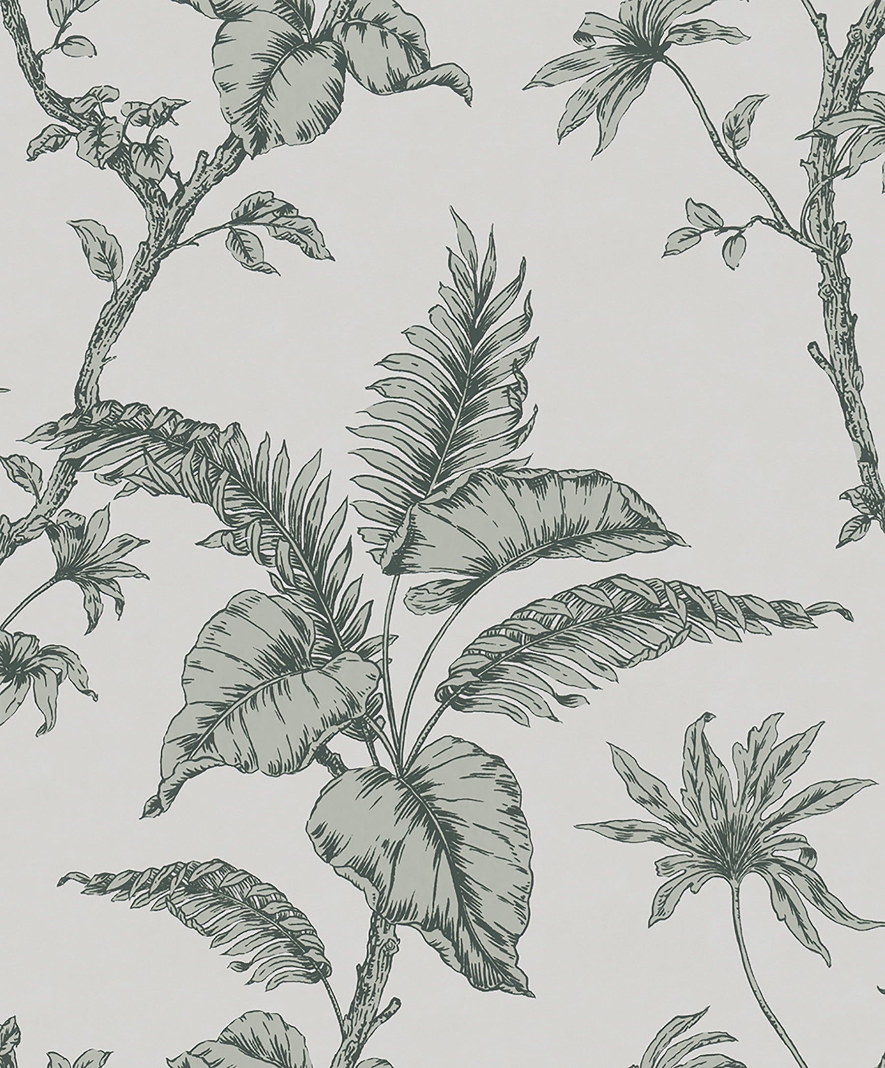 Marburg Cival Green Fern Trail Wallpaper, 20.9-in by 33-ft, 57.48 sq. ft.